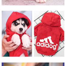 Charger l'image dans la galerie, Sweat à capuche pour chien