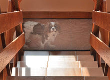 Charger l'image dans la galerie, Filet de sécurité en nylon pour chien ou chat