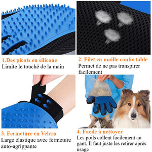 Gant-brosse de toilettage