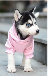 Sweat à capuche pour chien